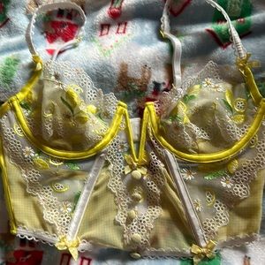 Victoria Secret XS lemon and daisy corset!